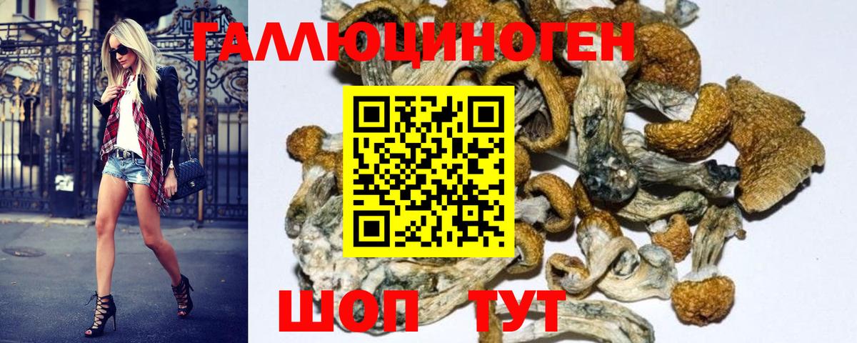 Псилоцибиновые грибы MAGIC MUSHROOMS Санкт-Петербург