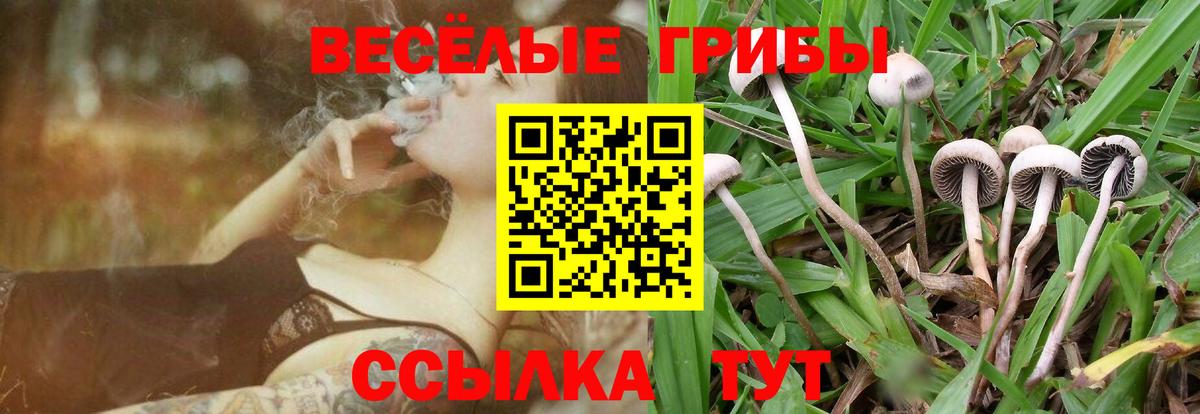 Санкт-Петербург  Псилоцибиновые грибы Magic Shrooms  Галлюциногенные грибы Psilocybine cubensis  Вход с VPN 